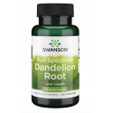 Swanson Dandelion Root, mniszek lekarski, 60 kapsułek