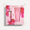 Caudalie Rose De Vigne Zestaw prezentowy: Woda 50ml + Żel pod prysznic 200ml