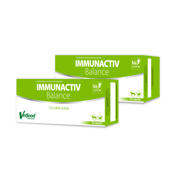 Immunactiv Balance blister, 60 kapsułek