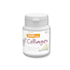 BARFeed Collagen 60 g