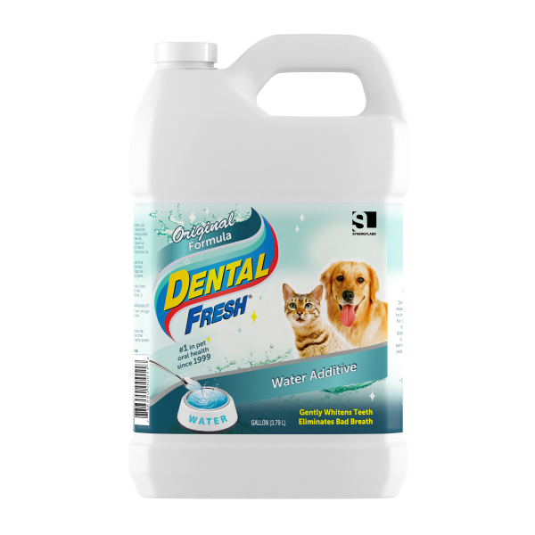 Dental Fresh, galon 3,8l