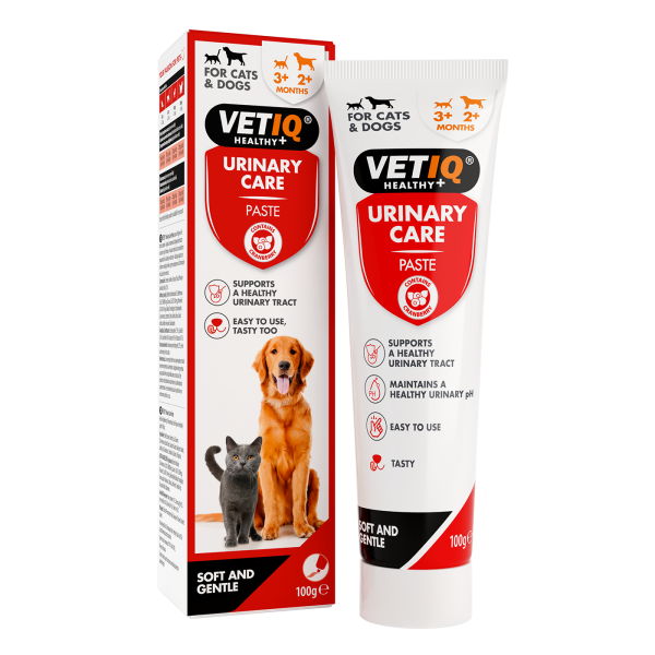 VetIQ Urinary Care Pasta drogi moczowe dla psów i kotów, 100g